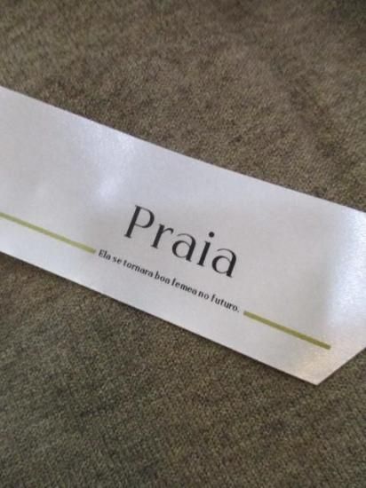 ץ饤 Praia 餫饦Vͥå˥å LEVK-25451-⥫