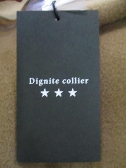 ̵ ǥ˥ƥꥨr ֥եɥޥ󥳡 ǥ ɥޥ󡡥ȡϥͥå FREE TK-80256203-