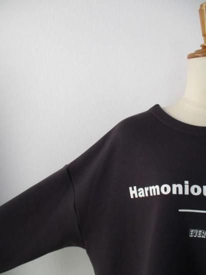 送料無料 アヤン ayane ボンバーロゴプリントプルオーバー 896106 ボンバープルオーバー トップス 裏起毛 保温性 軽量 ファッション 秋冬 快適 デザイン CHARCOAL