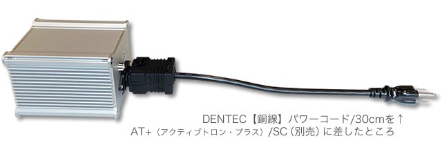 DENTEC ûڶ/Ƽۥѥ