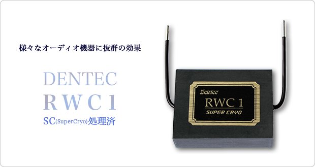 ϥȥåȥե륿DENTECRWC1סRWC1S