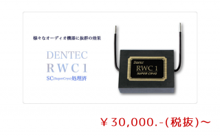 ϥȥåȥե륿DENTECRWC1סRWC1S