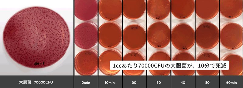 大腸菌を用いたマイクロイオニーの反応試験（減衰効果）