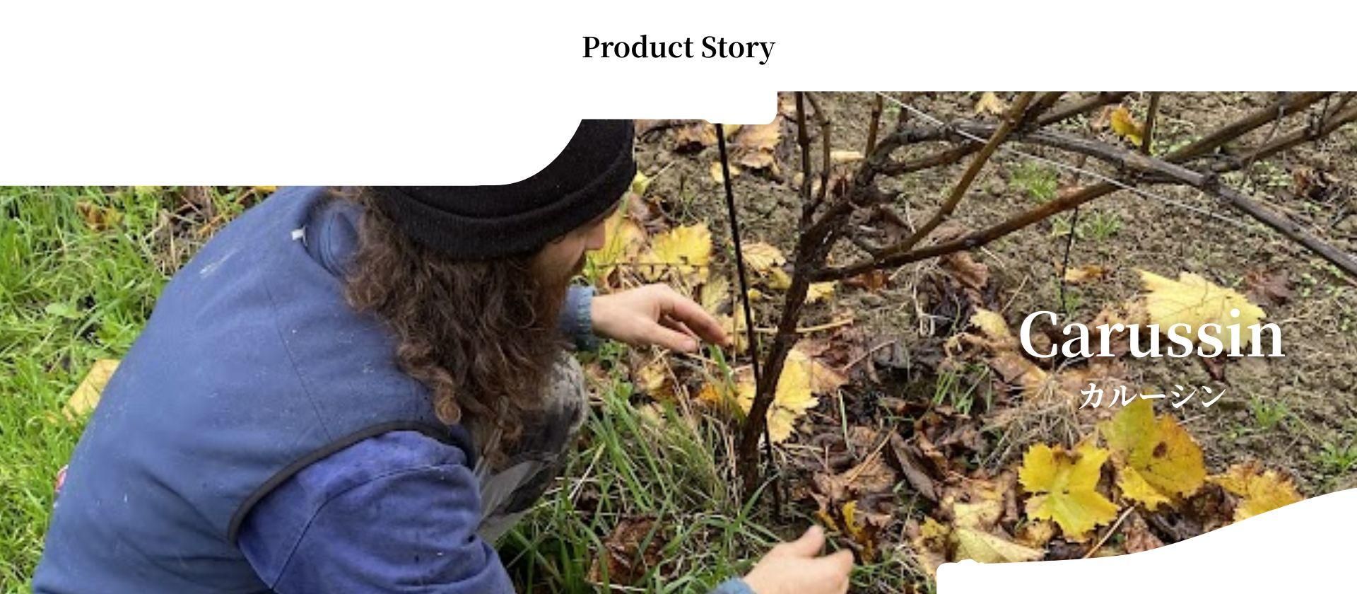 ALL¤���4�إå���