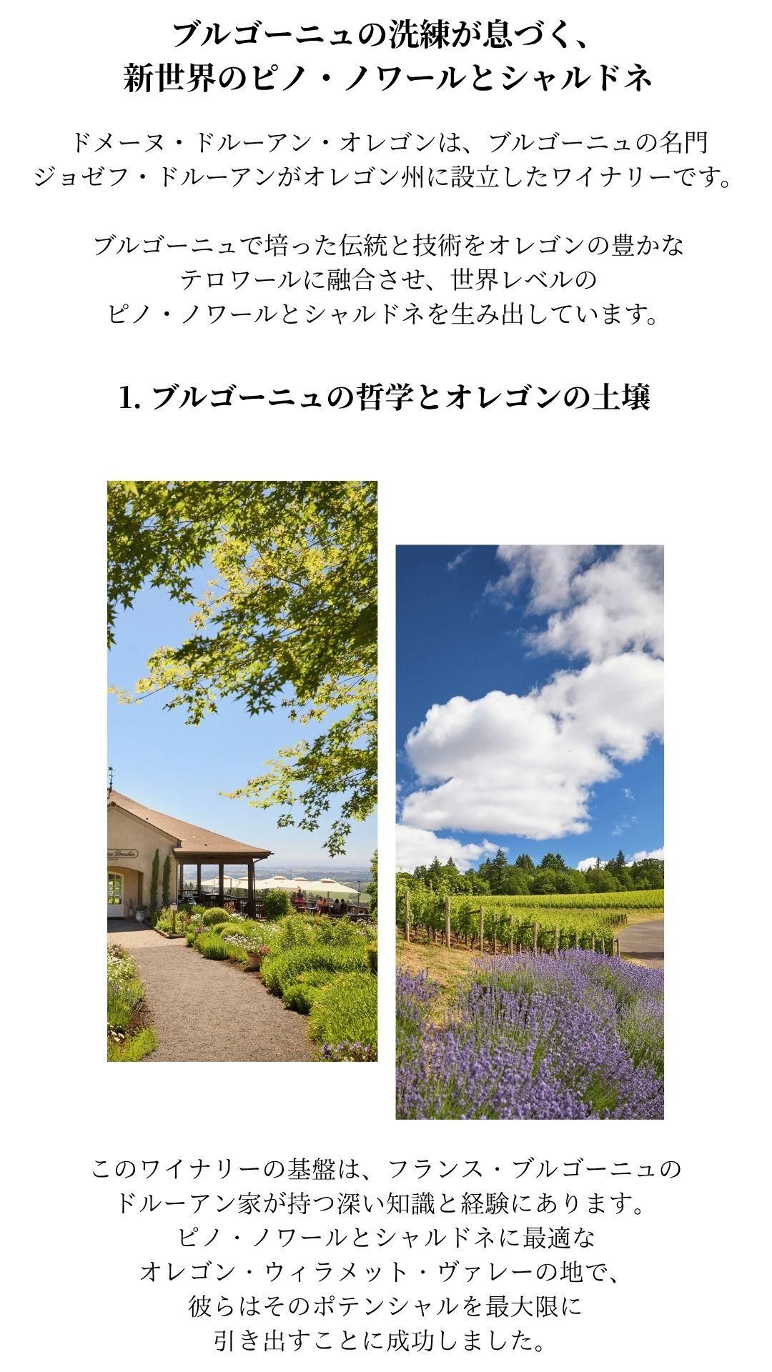 ALL¤���5���1