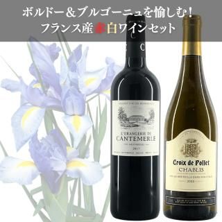 ڥ磻󥮥եȡ ե󥹻磻󥻥å ܥɡ ֥磻֥르˥ 磻Υå եȢ ڥåԥա