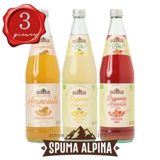 3ܥåȡ סޡԡ 3糧å 750ml ʥ󥸡֥åɥ󥸡͡ 1ܡ ꥢ塼 ץú