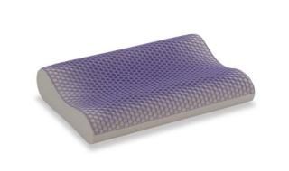 ズカンピロー ZUKANPILLOW zukanpillow.jpg?v=1724661768