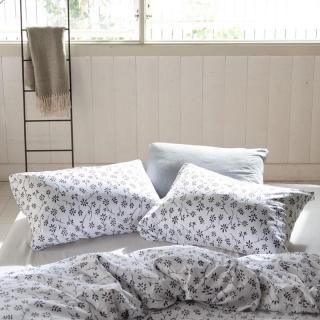 ˥ С 43X63cm ŷ˥å ץ