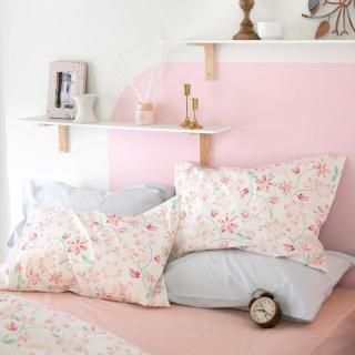 ԥ奢꡼ С 4363cm ץ