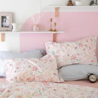 ԥ奢꡼ С 5070cm ץ