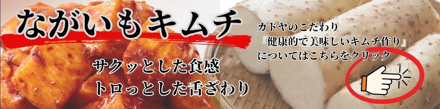 ʤ⥭ƥ꡼ȥåץХʡ