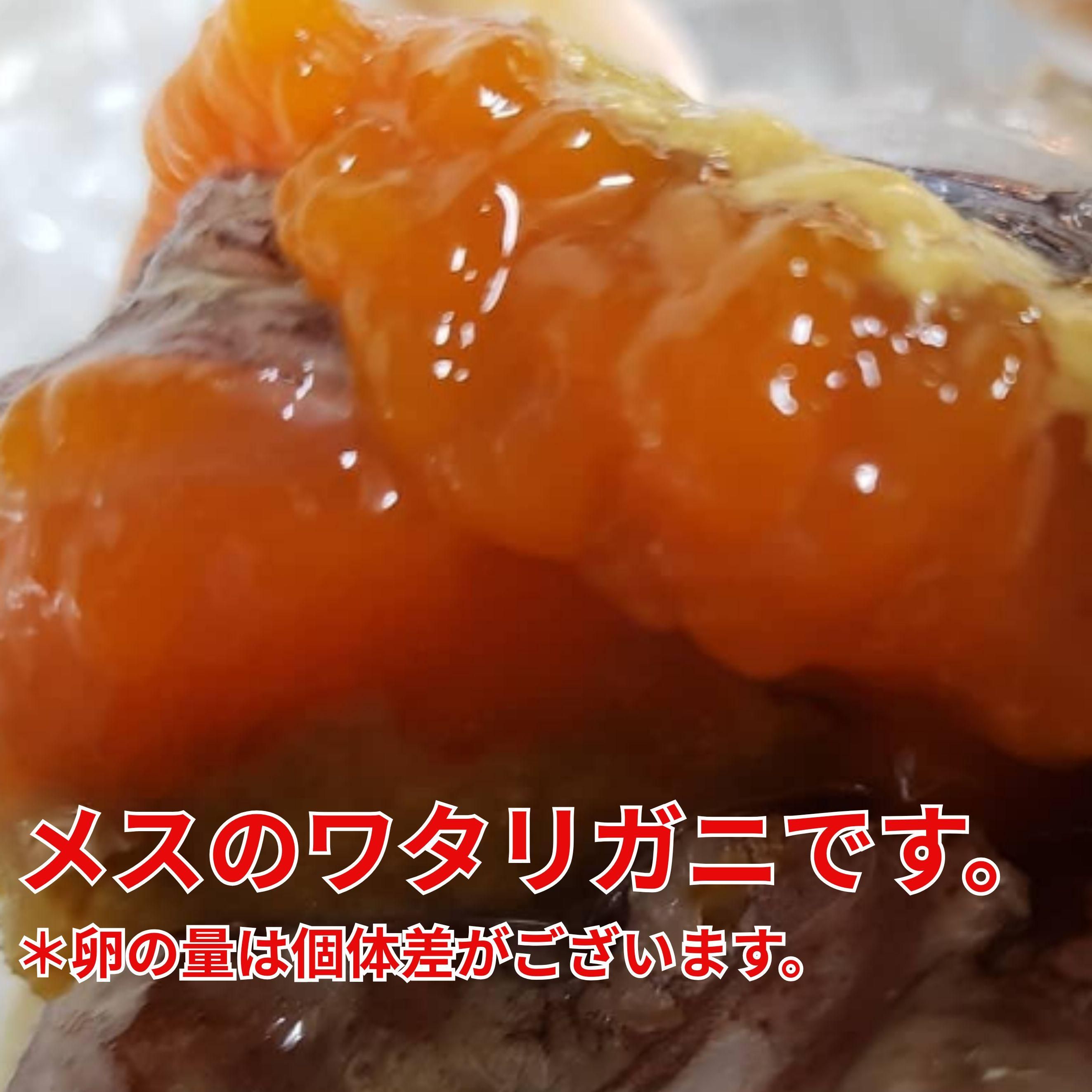 ᥹Υ勵ꥬ