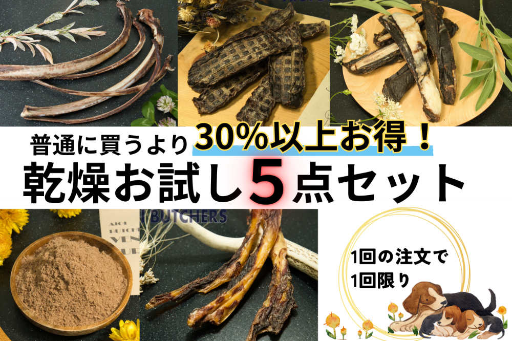 礪5å
