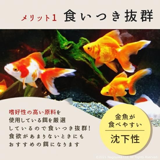 金魚餌 imgrc0095819080.jpg