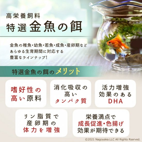 高栄養飼料 ぶ厚い メダカ餌 おとひめB1 100g アクアリウム 熱帯魚 グッピー 売買されたオークション情報 落札价格 【au  payマーケット】の商品情報をアーカイブ公開