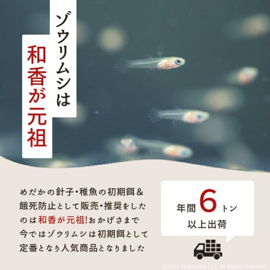 和香 ゾウリムシ 餌 和香特製ゾウリムシ用培養粉餌＆詳しい培養説明書＆マドラー付