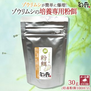 和香 ミドリムシ ユーグレナ 500ml メダカ 稚魚 グリーンウォーター ゾウリムシ 夏休み 自由研究 ねむ 栄養価