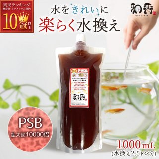 PSB ٶ    Ǯӵ ǻ ¹ 1000ml 