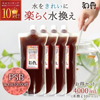 PSB ٶ    Ǯӵ ǻ ¹ 4000ml