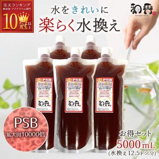 PSB ٶ    Ǯӵ ǻ ¹ 5000ml