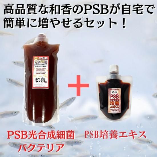 和香 PSB 光合成細菌 培養エキス 20L培養用 （培養エキス200ml