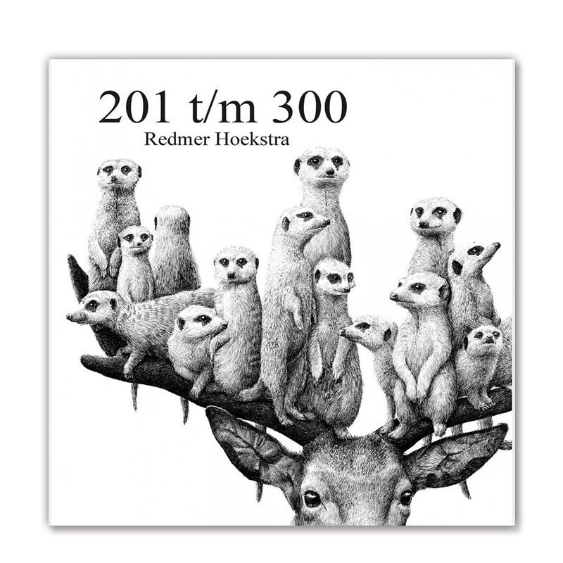 饹Ƚ201 T/M 300REDMER HOEAKSTRA