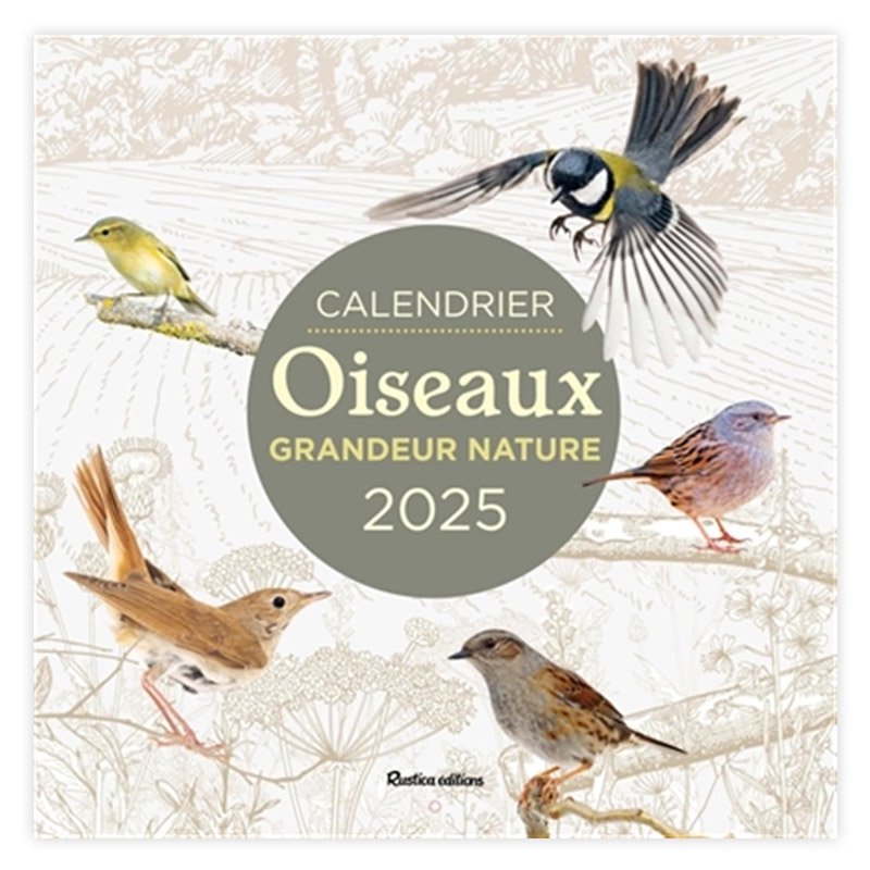 ե󥹸쥫2025ǯCALENDRIER OISEAUX GRANDEUR NATURE (EDITION 2025)