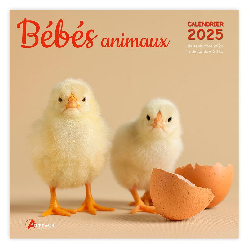 ե󥹸쥫2025ǯCALENDRIER BEBES ANIMAUX (EDITION 2025)