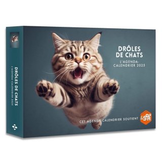 <img class='new_mark_img1' src='https://img.shop-pro.jp/img/new/icons6.gif' style='border:none;display:inline;margin:0px;padding:0px;width:auto;' />奫AGENDA-CALENDRIER : DROLES DE CHATS (EDITION 2025)