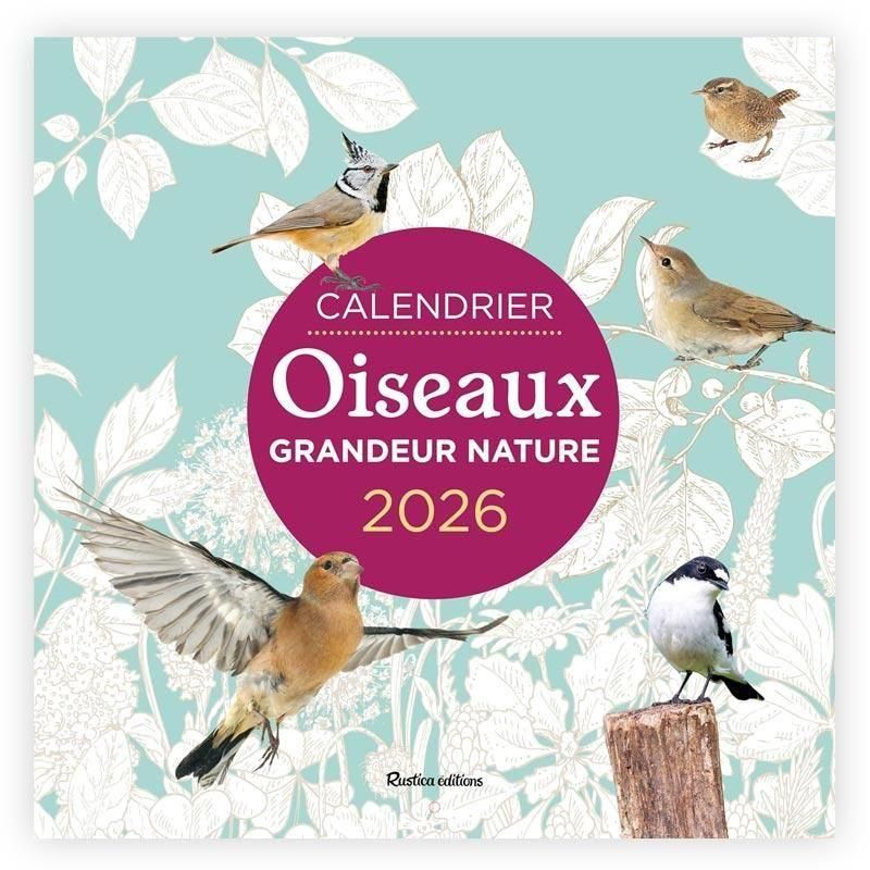 ե󥹸쥫2026ǯCALENDRIER OISEAUX GRANDEUR NATURE (EDITION 2026)