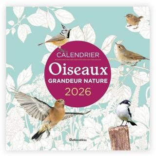 <img class='new_mark_img1' src='https://img.shop-pro.jp/img/new/icons8.gif' style='border:none;display:inline;margin:0px;padding:0px;width:auto;' />ե󥹸쥫2026ǯCALENDRIER OISEAUX GRANDEUR NATURE (EDITION 2026)