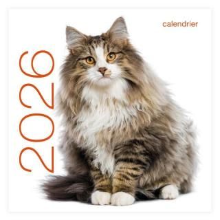 <img class='new_mark_img1' src='https://img.shop-pro.jp/img/new/icons8.gif' style='border:none;display:inline;margin:0px;padding:0px;width:auto;' />ե󥹸쥫2026ǯ CALENDRIER MURAL 2026 - CHATSʤͤˡ 