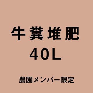 ʵ 40L1ʬ