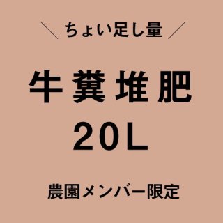 ʵ20Lɲʬ