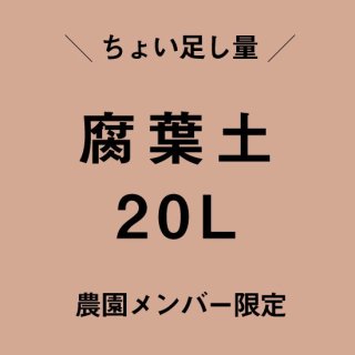 20Lɲʬ