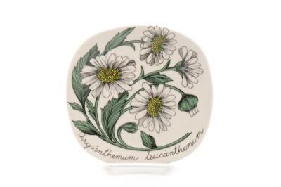 [ͤͽ]ARABIA/Botanica chrysanthemum leucanthemum(ե󥹥)/ץ졼