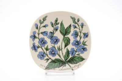 [ͤͽ]ARABIA/Botanica veronica chamaedrys(եȥҥ襯)/ץ졼