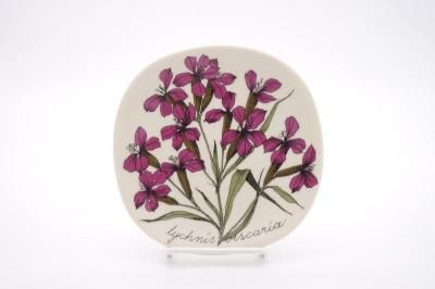 ARABIA/Botanica lychnis viscaria(ॷȥӥ)/ץ졼