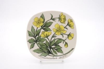 ARABIA/Botanica ranunculus acer(ߥޥݥ)/ץ졼