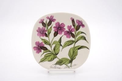 ARABIA/Botanica silene dioica(åɥԥ)/ץ졼