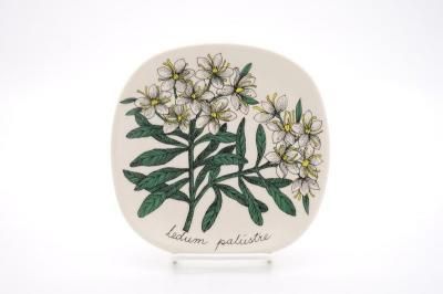 ARABIA/Botanica ledum palustre(ĥĥ)/ץ졼