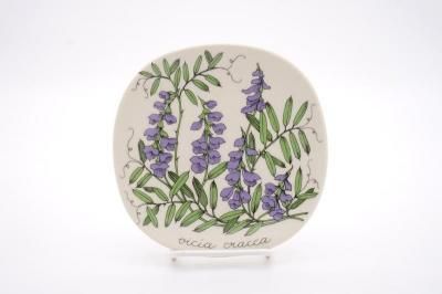 ARABIA/Botanica vicia cracca(ե)/ץ졼