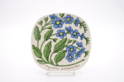 ARABIA/Botanica myosotis scorpioides(凉ʥ)/ץ졼