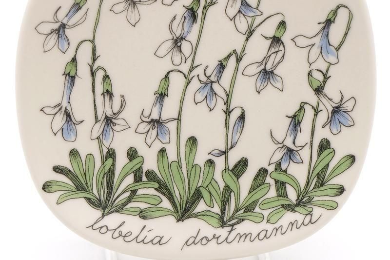 ARABIA/Botanica