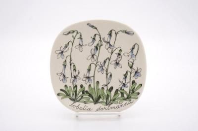 ARABIA/Botanica lobelia dortmanna(٥ꥢ)/ץ졼