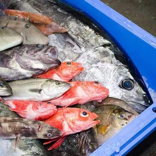 大漁旗　リバシブルエプロン　ハンドメイド 大漁旗 リバシブルエプロン ハンドメイド