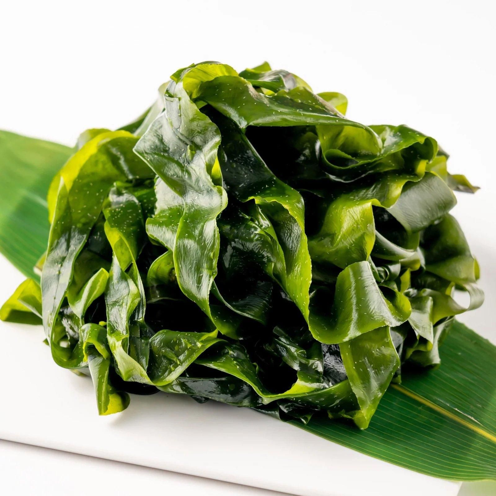 pizzicato　天然弘ワカメ　湯通し塩蔵わかめ500ｇ×12袋 pizzicato様専用 天然弘ワカメ 湯通し塩蔵わかめ500g×12袋