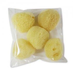 ŷ�����ʥ��륯 ������5����5cm��1��5������ ���᤬�٤��� ����ˤ���������<img class='new_mark_img2' src='https://img.shop-pro.jp/img/new/icons32.gif' style='border:none;display:inline;margin:0px;padding:0px;width:auto;' />