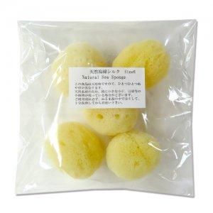 ŷ�����ʥ��륯 ������6����5��6cm��1��5������ ���餫����ȩ�ˤ�ͥ���� Natural Sea Sponge SS6<img class='new_mark_img2' src='https://img.shop-pro.jp/img/new/icons32.gif' style='border:none;display:inline;margin:0px;padding:0px;width:auto;' />